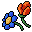 Wild Flowers